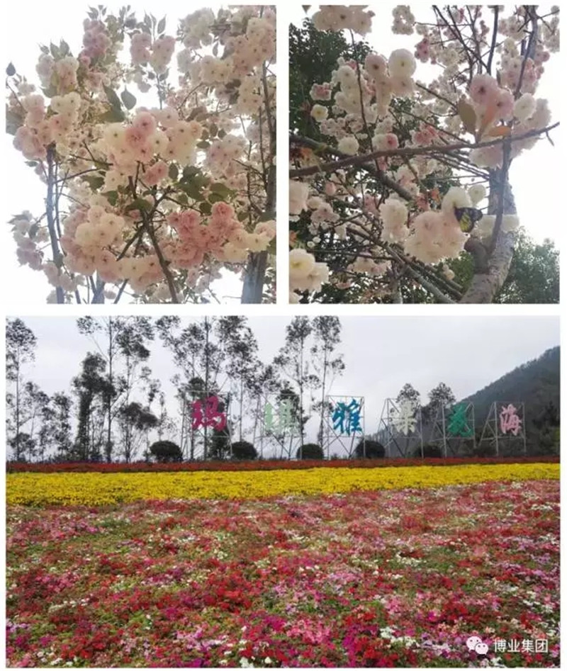 640 (1).webp (1).jpg 640 (1).webp (1).jpg